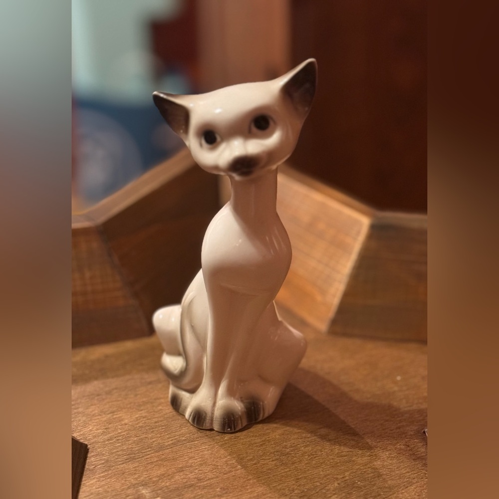 Siamese Cat Vintage 🐱